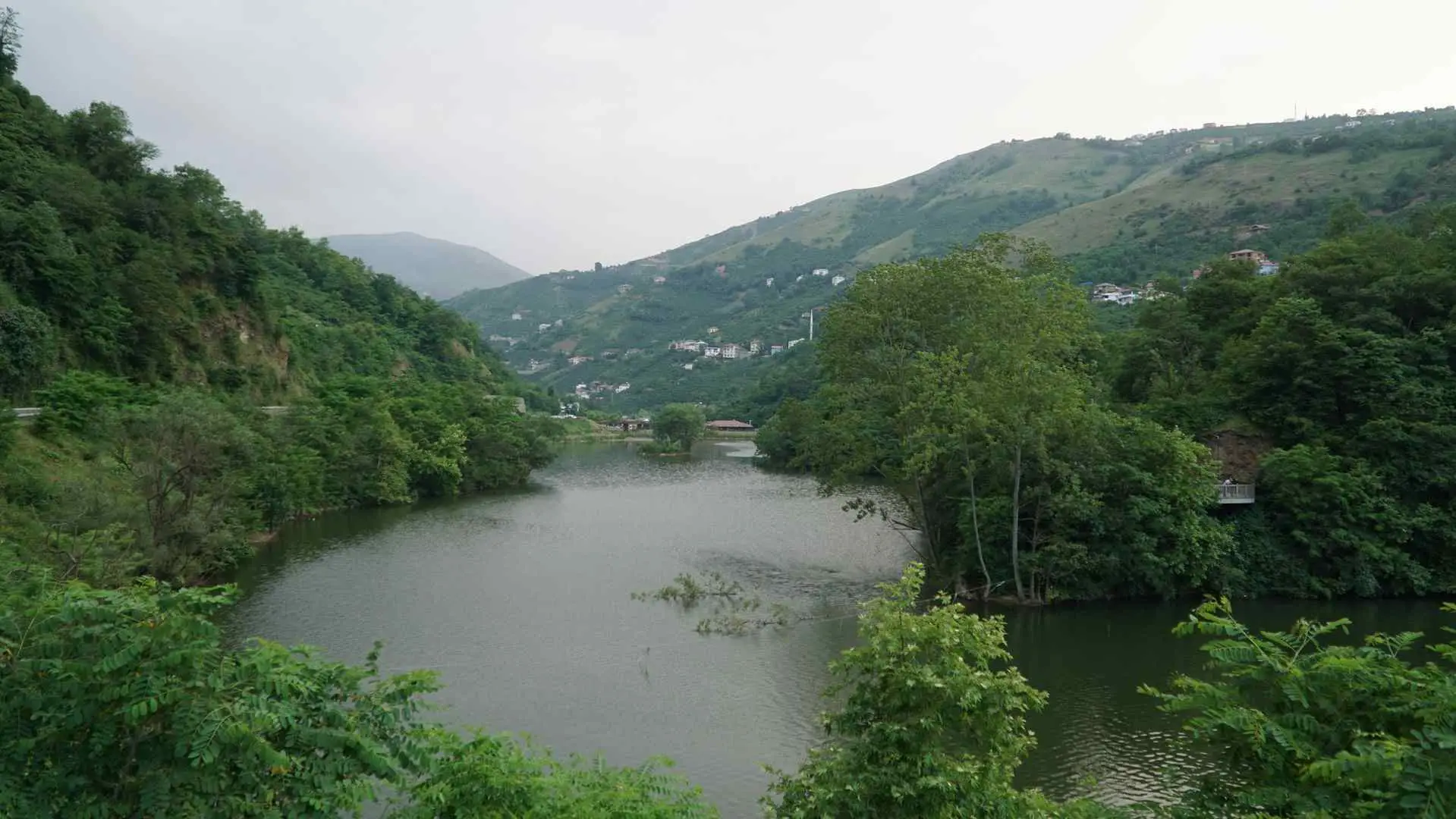 Sera golu (18)